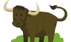 2021年是属牛本命年，你需要注意哪些事项？此外，若你生于1961年并且今年迎来60岁本命年，你应该佩戴哪些物品呢？