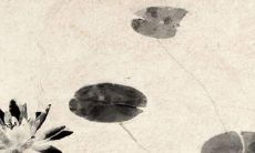 2022年帝师生肖运势详细解析：十二生肖各自的财运、感情运、健康运、事业运、家庭运和求学运！