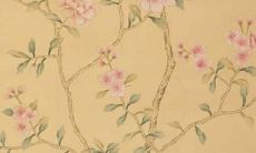 1980年出生的猴年属相人：关于他们一生的财运如何？