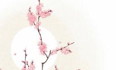 从1987至2022，兔的综合运势及具体运程详细解析