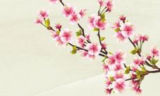 如何以最有效的方式化解属虎者的太岁？