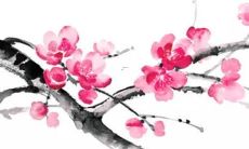 探讨猴年出生者在2022年的运势表现——从历史事件到星座解读