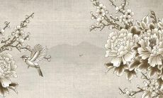 年和女1958年的详细解析