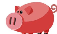 1959年出生的63岁属猪女性：2021年究竟会带来哪些运势和机会？