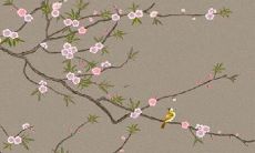 走向中年的74年属虎女：探讨46岁及以后的婚姻与家庭事宜