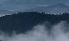 71岁出生于属龙的人在2022年的运势如何？