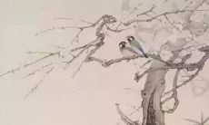 未来的2022年，破兔冲太岁是否会给我们带来好运？