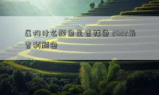 2022年属狗人最吉祥的颜色是什么？探寻属狗人宜选的幸运色彩！