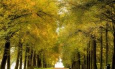 人生中最重要的本命年——兔年，需要注意哪些事项并佩戴什么？