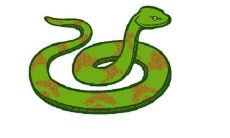 2021年属蛇人的综合运势、事业、财富、爱情及健康运程分析及预测：你是否能顺利度过去年疫情带来的挑战？