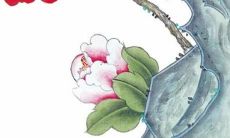 2022年10月出生的鼠年人，哪方面的运势最佳？是否是今年学习运强劲，事业有所突破呢？