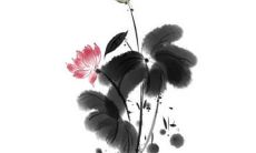 2022年，在属蛇鼠人的全年中，将会展现怎样的运势和吉凶变化呢？