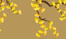 好？2021年下半年，生肖鼠的运势展望及预测