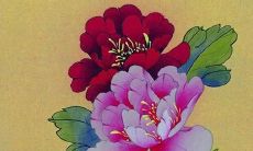 哪些年份属虎的人会在太岁年遭遇煞星影响：详细分析98年出生的属虎人的运势！