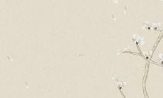 2019年的十二生肖当中，哪些生肖会犯太岁，遭遇不顺？