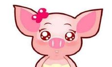 在何种月份出生的属猪女性更有机会拥有较好的偏财运？