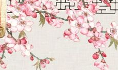 性详解：如何在2022年获得吉祥如意的狗年运势及顺畅顺遂的生活运程？