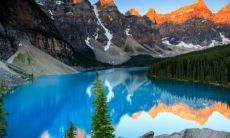 女羊男鸡婚姻的相合性如何：探讨鸡和羊在婚姻中的搭配优劣