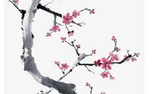 2022年完整版：详解属鸡女每个月的全面运势趋势