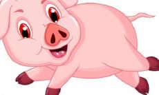 2022年猪年女性，根据中华传统命理学，是否适合在此年生育宝宝？并且分析猪和虎属相的相克关系，对孕妇健康的影响