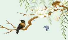 2022年属兔人：探究1999年出生的兔子们的运势趋势！