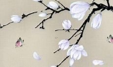 样的护身符或物品有助于化解邪气，避免意外损失？