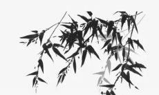 将届44岁的79年属羊人，面临2022年的劫难，那么他们的运势会受到怎样的影响呢？