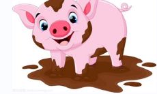 适与属猪人搭档的最佳生肖伴侣：生肖兔和生肖虎