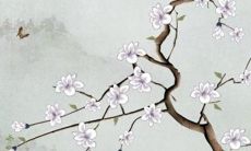 预测：2022年将会是一只富裕、顺遂、具有潜力和好运气的数兔年！