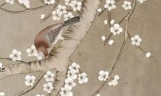 2022年属猪的女性会有哪些贵人相助？这些贵人中谁才是属猪女2022年的最佳助手？