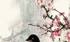 在2023年，是否适合属蛇生育？需要注意的事项有哪些？