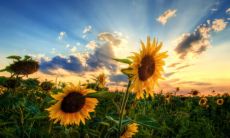 感受正能量的微信ID-具有内涵深意的微信昵称