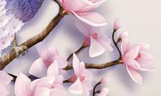 探究1978年出生的马在45岁后的财务状况以及运势表现——78年属马人的未来如何？