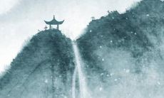 预测：从2007年开始的狗狗们在2022年运势的可能发展趋势