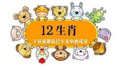 2020年鼠年遭遇犯太岁之苦的4大生肖，你是否在其中？