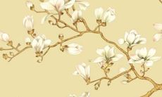 1954年出生的属马人与2022年属马人的运势比较：解读历史遗传与现实预测的变化趋势