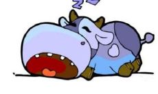 2021年牛年属鸡人的命运，全方位解读鸡年运势与运程大揭秘