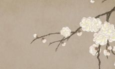 深度解析：2022年天上火命的繁华运势与运程如何？