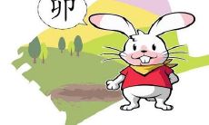 探究1999年属兔的人在牛年2021的命运：运势如何？