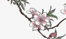 如何在QQ上创建带符号的优雅且好听的用户名？