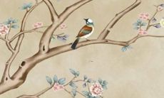 探究2022年狗宠物的健康状况及可能面临的挑战与解决方案