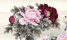 属猪人2022年需避免得罪这个星座，掌握哪些生肖小人需要小心？