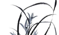 63岁女性兔子2022年全年的星座运势展望