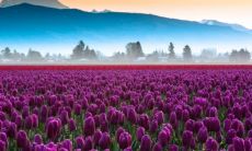 脚后跟长痣的寓意及注意事项：探讨脚后跟长痣的神秘符号意义和需要关注的健康问题