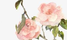 探究有哪些令人称道的、相信仰慕的姓氏为叶的美妙名字