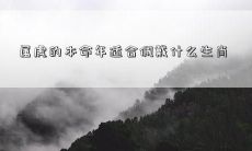 属虎的人在本命年应该选择怎样的生肖来佩戴？