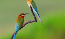 女性下颌正中间长着的痣，是否意味着“财源滚滚”？探寻下巴底下痣的奥秘