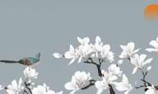 2022年水、沙、土、蛇的运势如何呢？