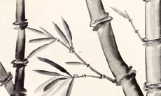 探寻2022年庚午年出生人的幸运运势和命运走向