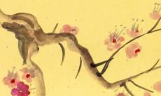 生肖马在2022年的财富运势展望：预测、趋势与建议